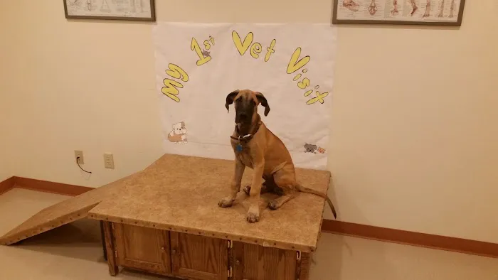 BloomingPaws Clinic Resort & Spa Picture 1