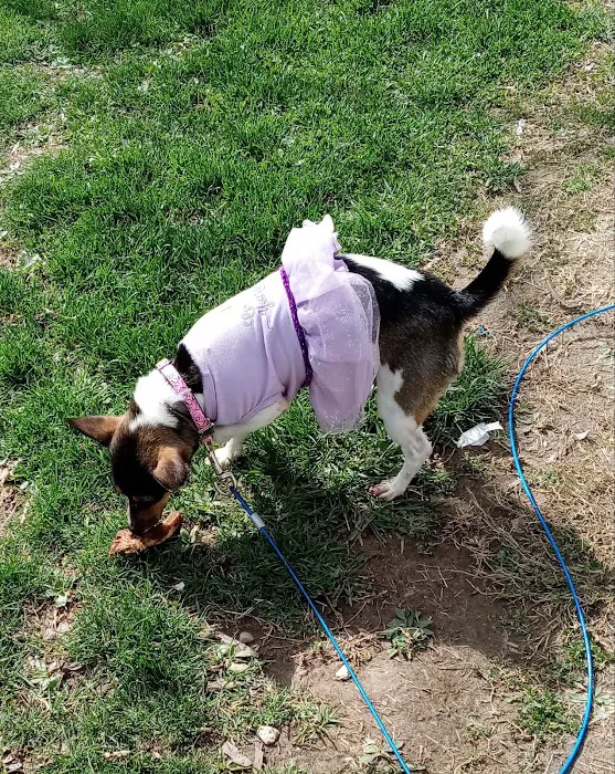 Pets Alive - Nonprofit Spay/Neuter & Wellness Clinic Picture 3