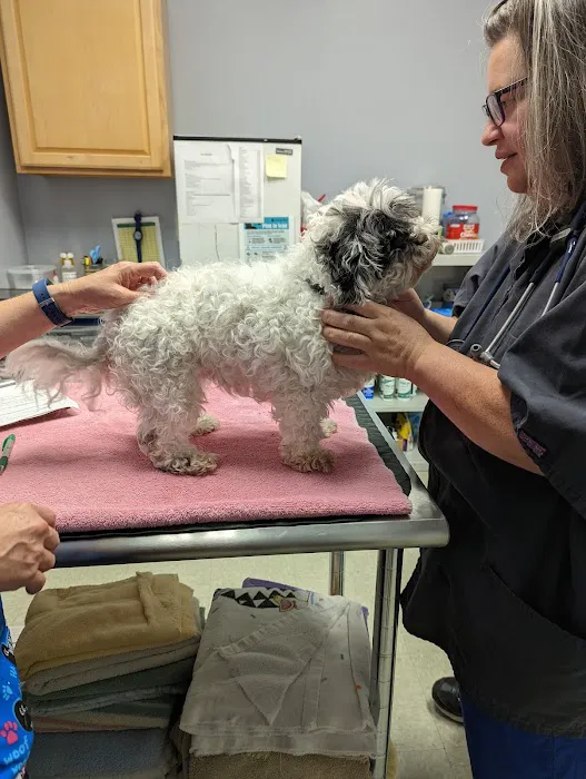 Pets Alive - Nonprofit Spay/Neuter & Wellness Clinic Picture 1