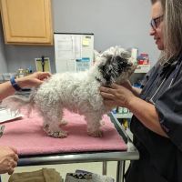 Pets Alive - Nonprofit Spay/Neuter & Wellness Clinic ico
