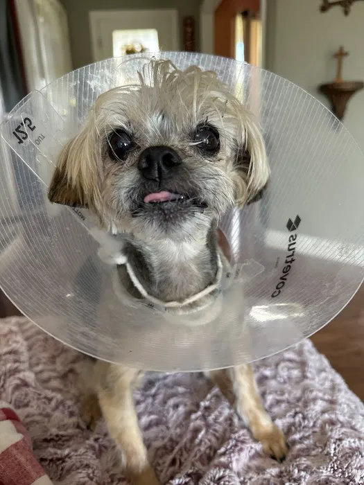 Combs Veterinary Clinic Picture 6