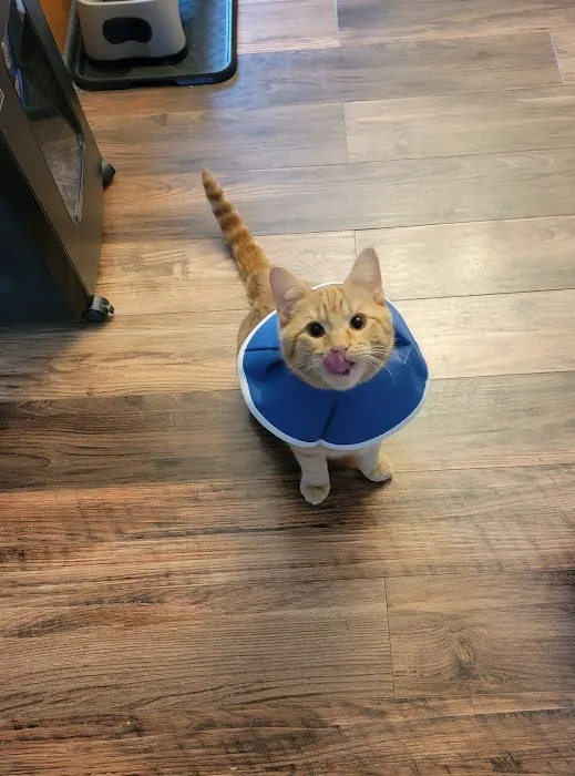 Combs Veterinary Clinic Picture 5