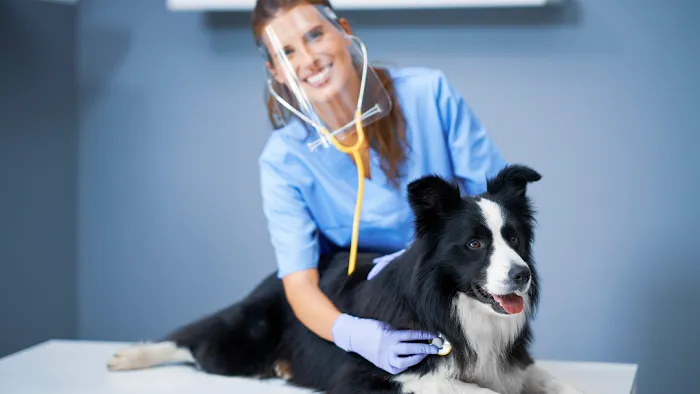 Combs Veterinary Clinic Picture 1