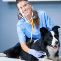 Combs Veterinary Clinic ico