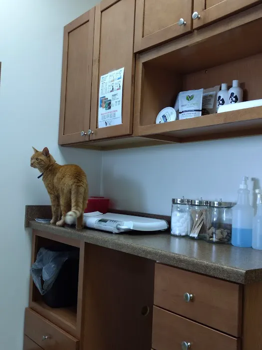 Furry Friends Veterinary Hospital Picture 4