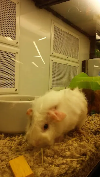 Petco Picture 9