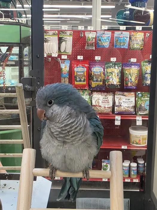 Petco Picture 2