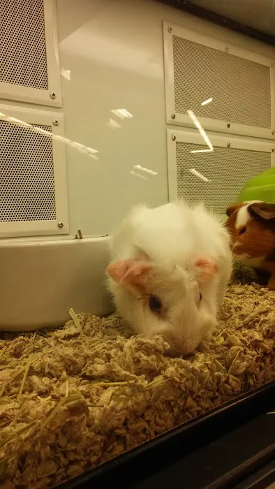 Petco Picture 6