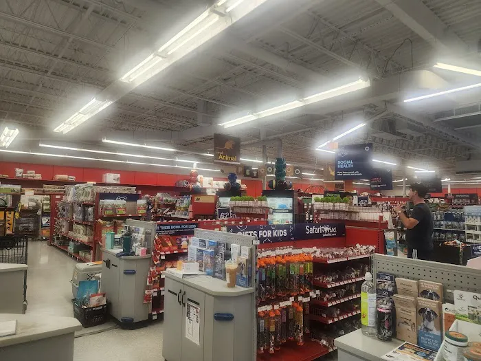 Petco Picture 4