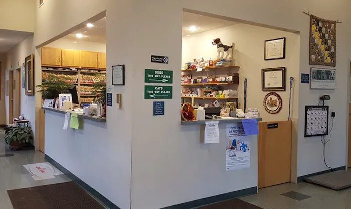 College Mall Veterinary Hospital Picture 3