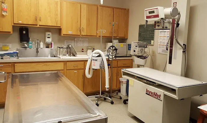 College Mall Veterinary Hospital Picture 9