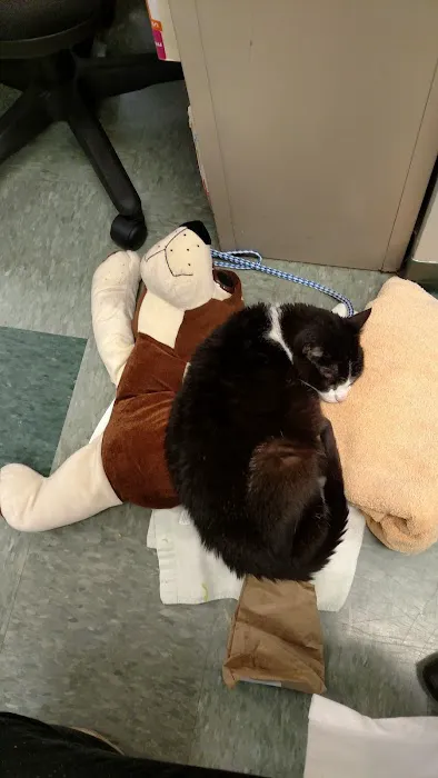 College Mall Veterinary Hospital Picture 5