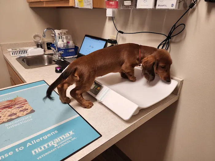 College Mall Veterinary Hospital Picture 1