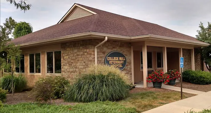 College Mall Veterinary Hospital Picture 8