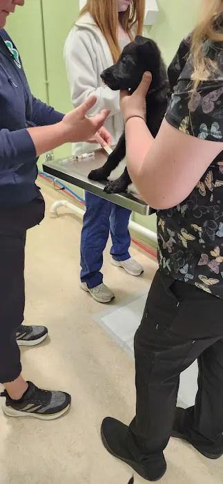 Tender Loving Care Animal Hospital Picture 7