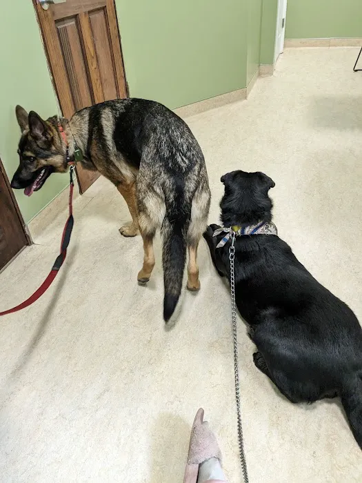 Tender Loving Care Animal Hospital Picture 1