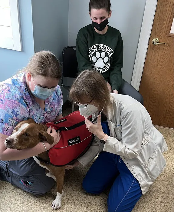 Tender Loving Care Animal Hospital Picture 5