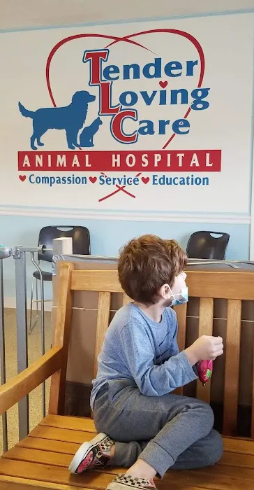 Tender Loving Care Animal Hospital Picture 3