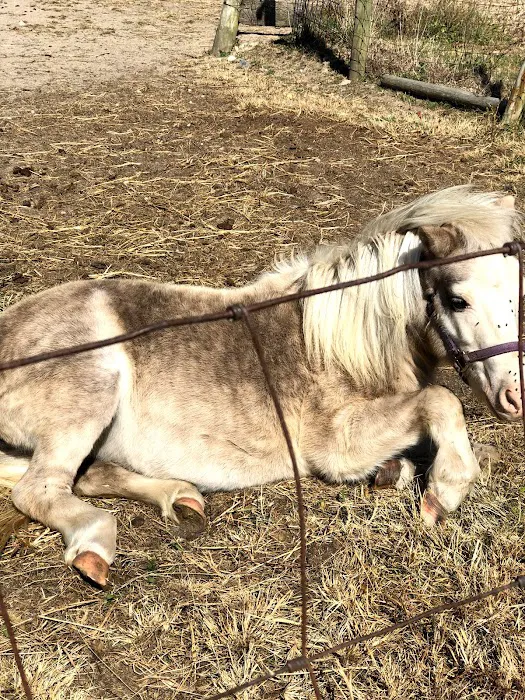 Sixth Day Veterinary Practice Picture 6