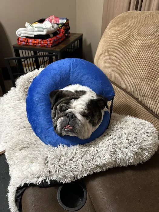 Franklin Animal Clinic Picture 5