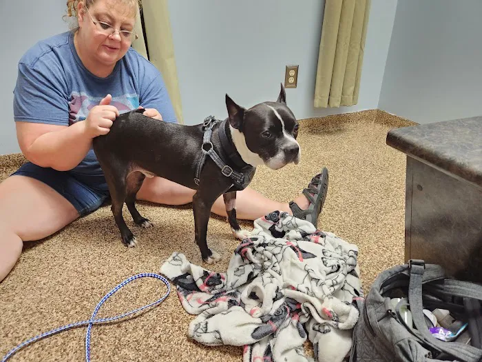 Franklin Animal Clinic Picture 6