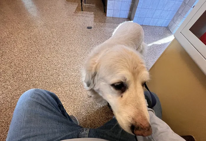 Franklin Animal Clinic Picture 2