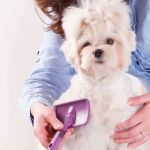 CenterGrove Animal Clinic