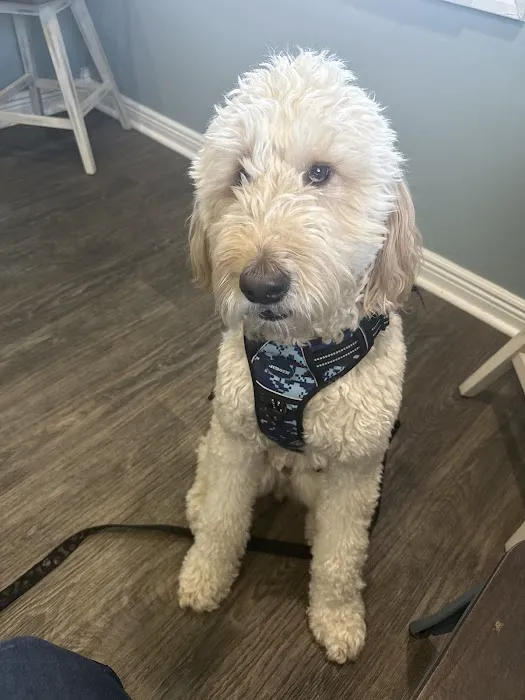 CenterGrove Animal Clinic Picture 6