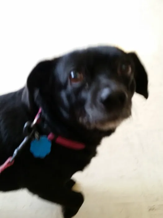 Odon Veterinary Clinic Inc Picture 6