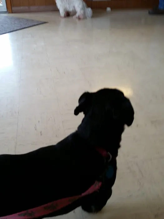 Odon Veterinary Clinic Inc Picture 2