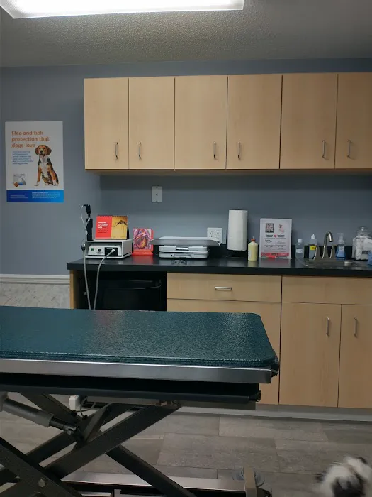 Eastside Veterinary Clinic Picture 3