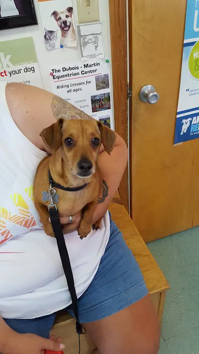 Cumback Veterinary Services Picture 1