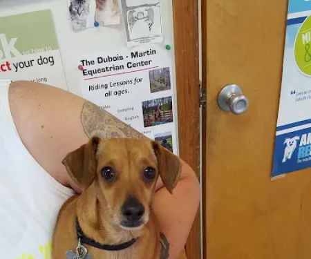 Cumback Veterinary Services