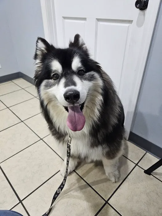 Washington Veterinary Hospital Picture 4