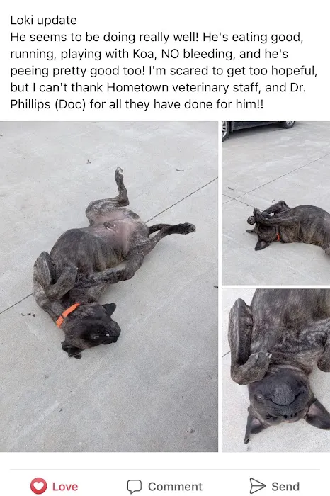 Hometown Veterinary Picture 7