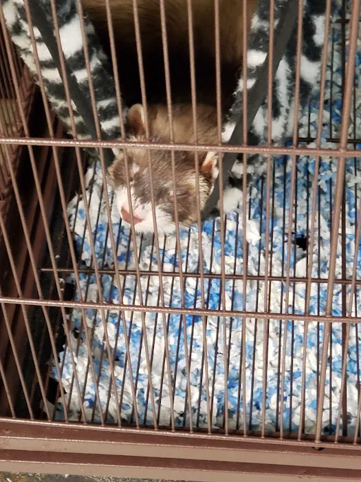 Feeders Pet Supply Picture 6