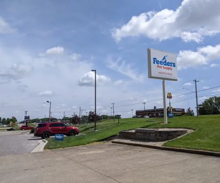 Feeders Pet Supply