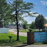 Dogwood Animal Clinic Inc