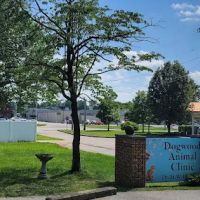 Dogwood Animal Clinic Inc ico