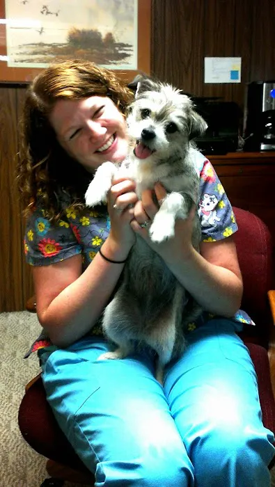Dogwood Animal Clinic Inc Picture 5