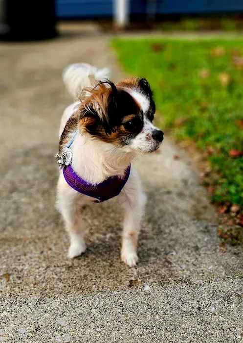 Jasper Pet Clinic Picture 5