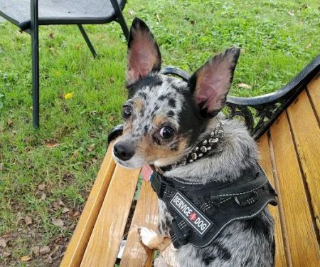 Monroe County Humane Association