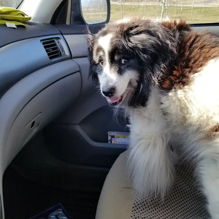 Monroe County Humane Association Picture 7