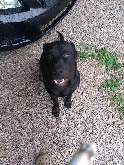 Monroe County Humane Association Picture 5