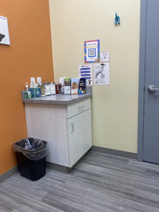 VetCheck Pet Urgent Care Center Bloomington Picture 4