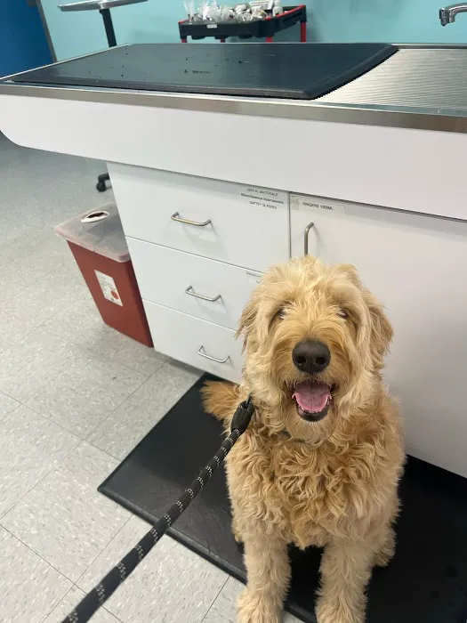 VetCheck Pet Urgent Care Center Bloomington Picture 7