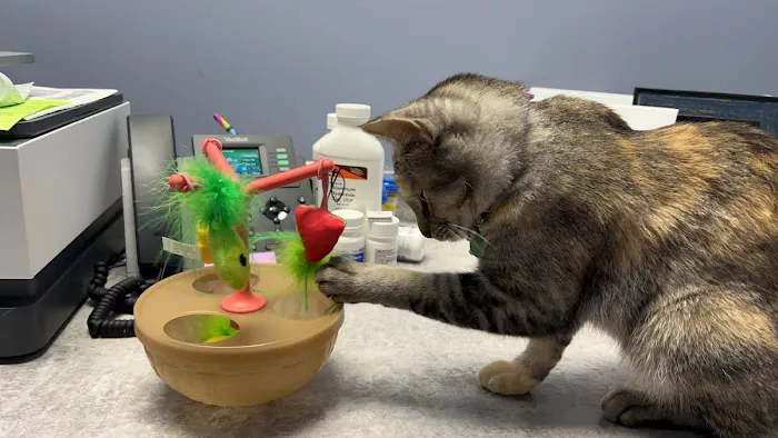 VetCheck Pet Urgent Care Center Bloomington Picture 1