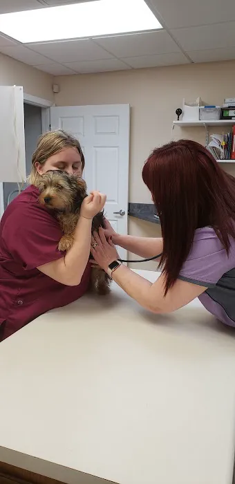 Vista Hills Animal Hospital Picture 5