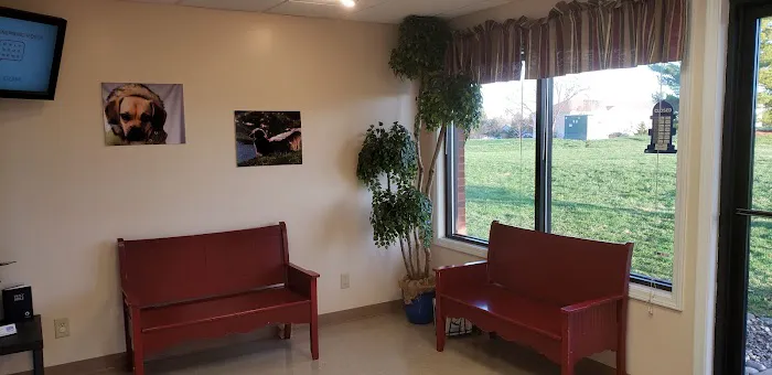 Vista Hills Animal Hospital Picture 1