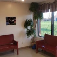 Vista Hills Animal Hospital ico